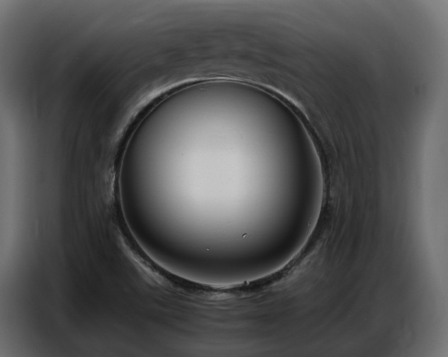 X0000087751507200705071102