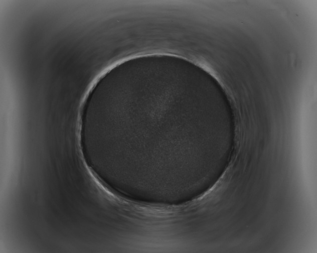 X0000087751508200705071102