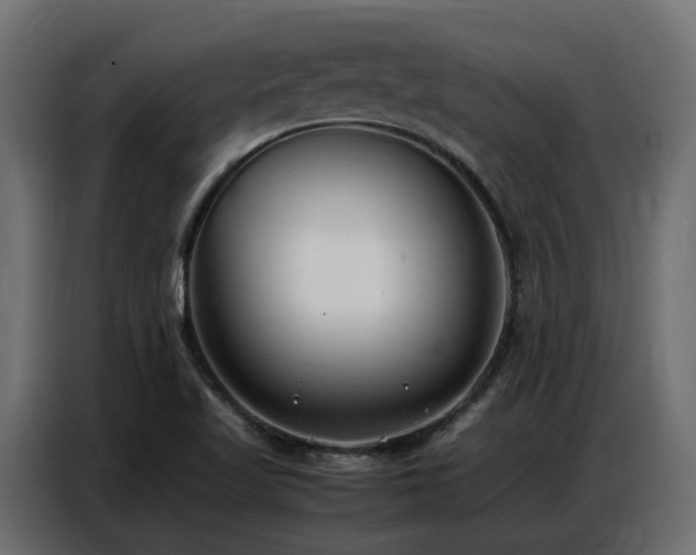 X0000087751509200705071103