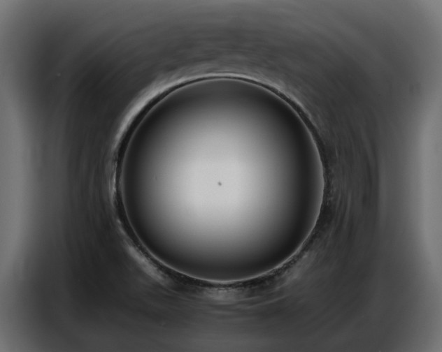 X0000087751511200705071103