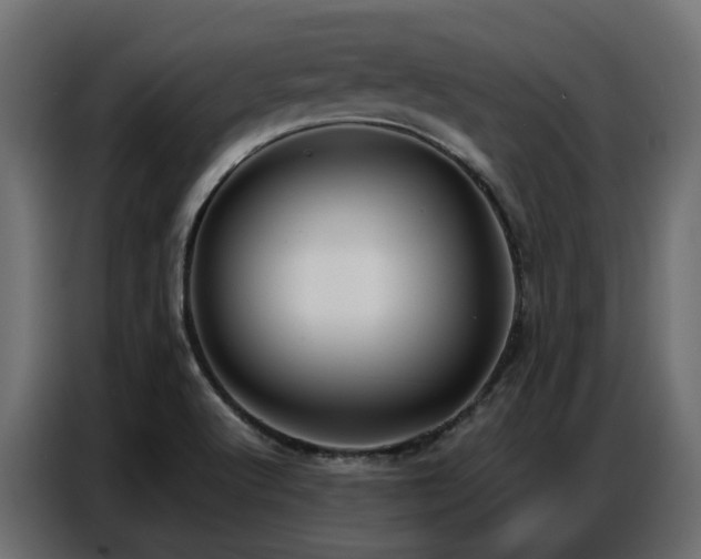 X0000087751512200705071103