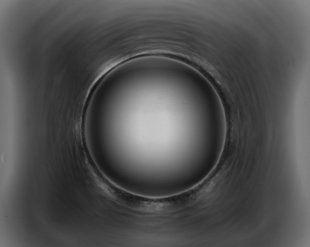 X0000087751513200705071103