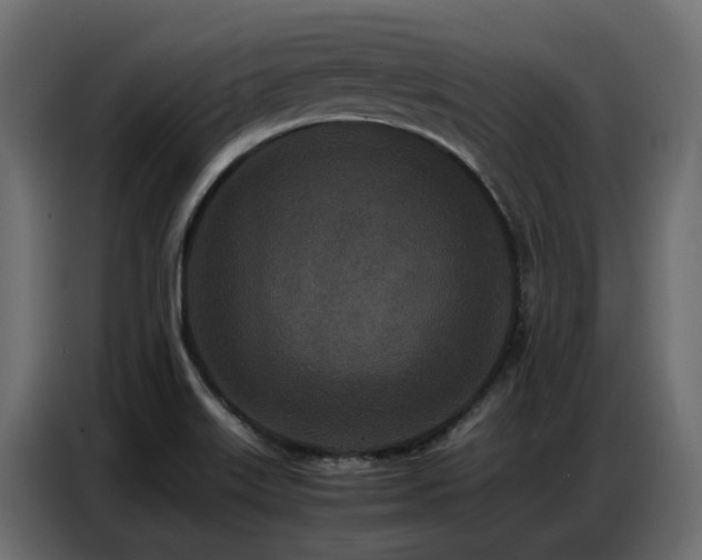 X0000087751515200705071103