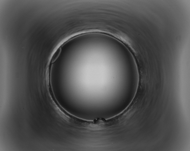 X0000087751516200705071103
