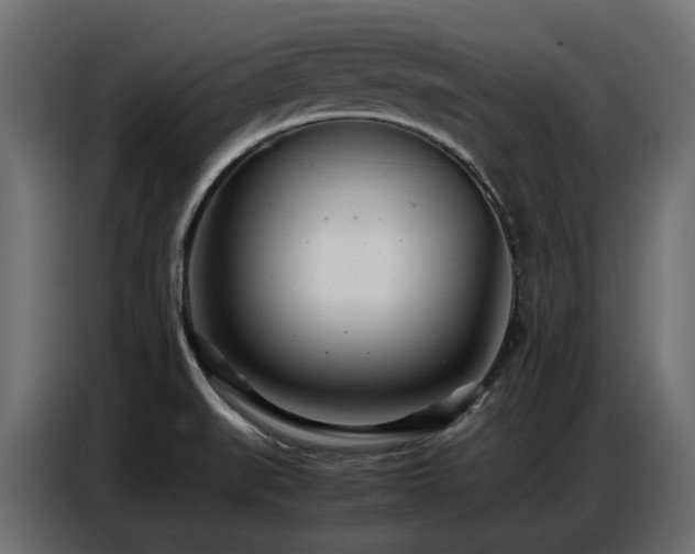 X0000087751519200705071103