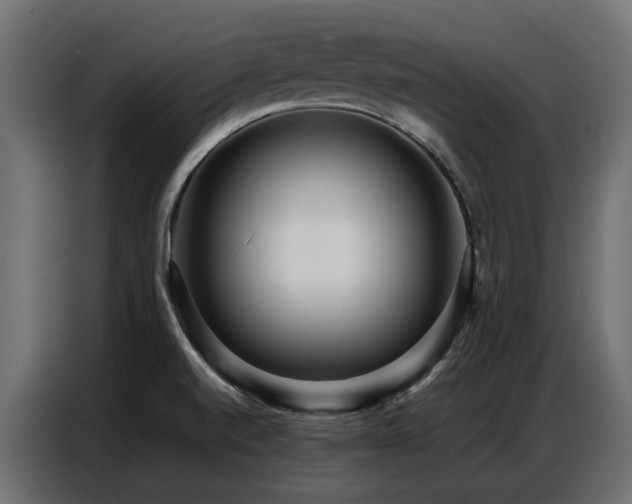 X0000087751520200705071103