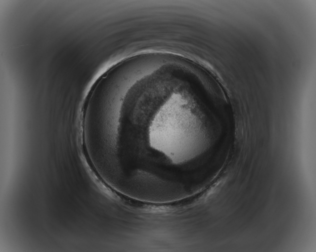 X0000087751522200705071103