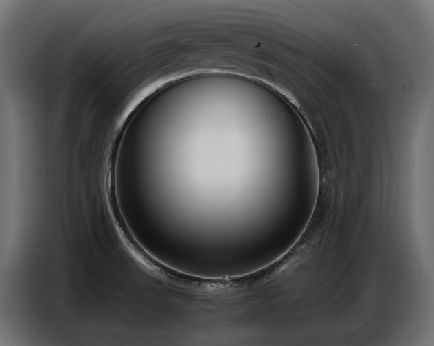 X0000087751523200705071103