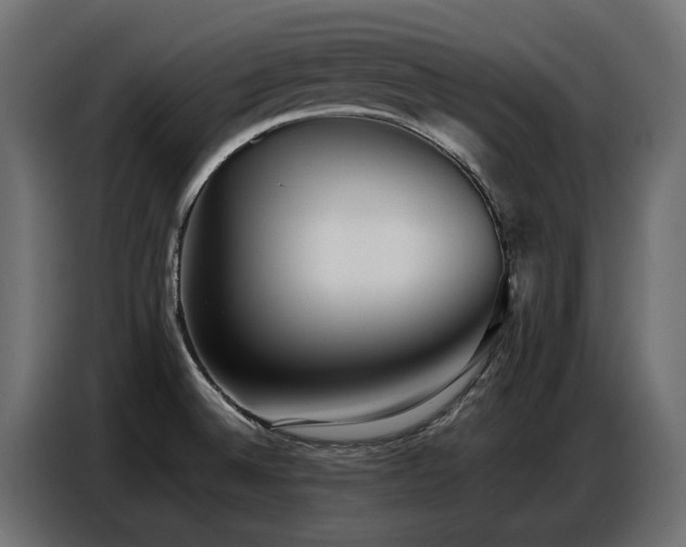 X0000087751524200705071103