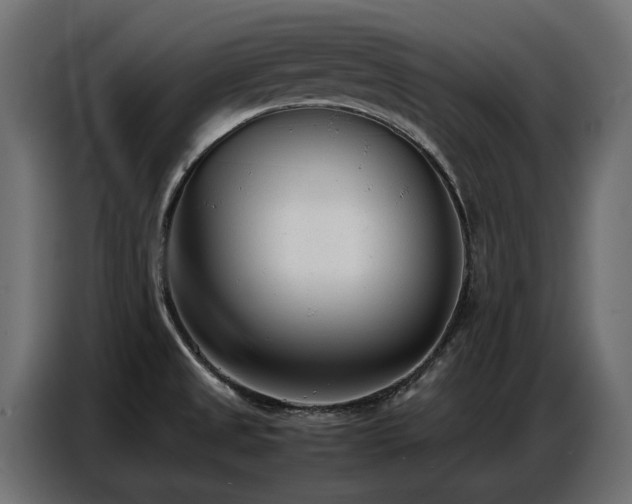 X0000087751525200705071103