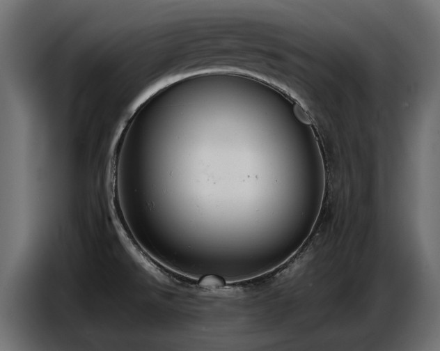 X0000087751526200705071103