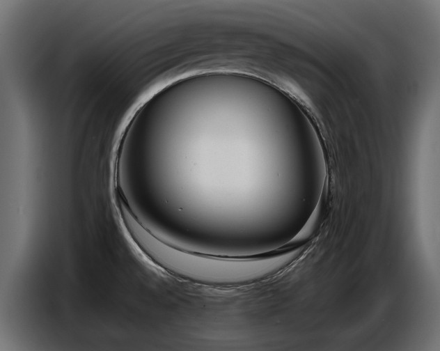 X0000087751528200705071103