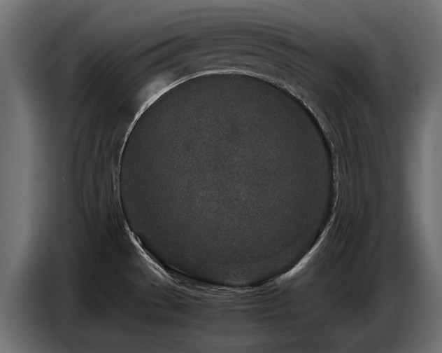 X0000087751529200705071103