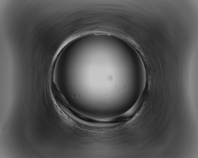 X0000087751530200705071103