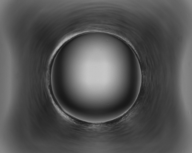 X0000087751531200705071103