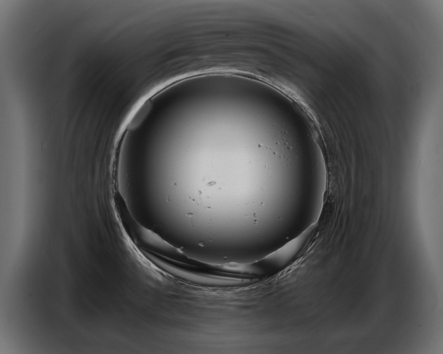 X0000087751532200705071103