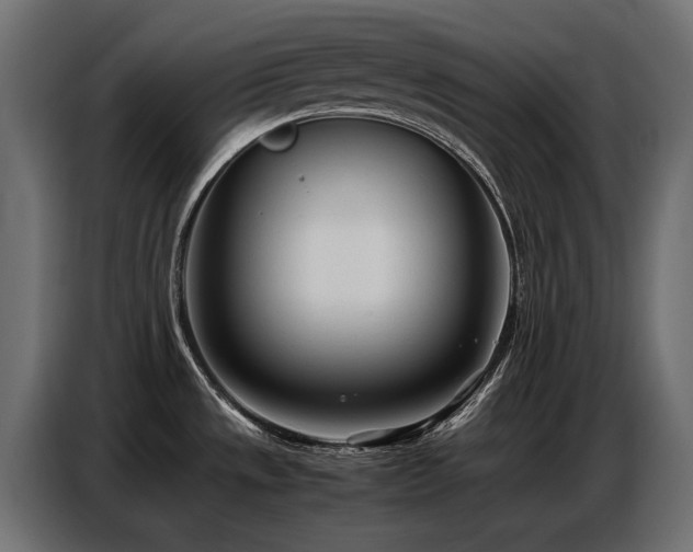 X0000087751533200705071103