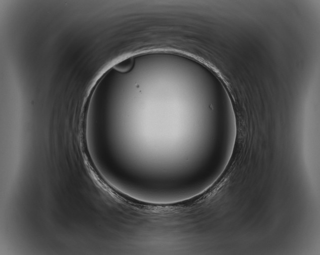 X0000087751534200705071103