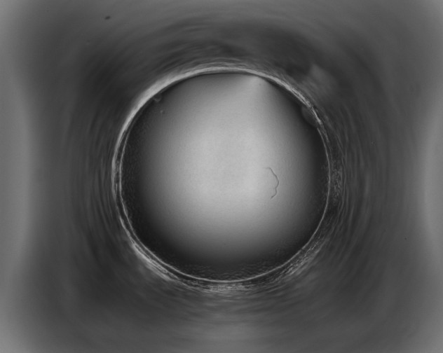 X0000087751535200705071103