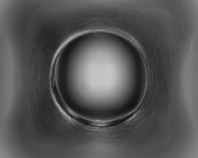 X0000087751536200705071103