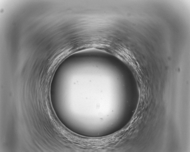 X0000087750001200705141301