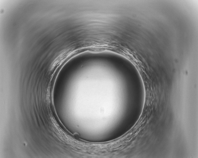 X0000087750002200705141301