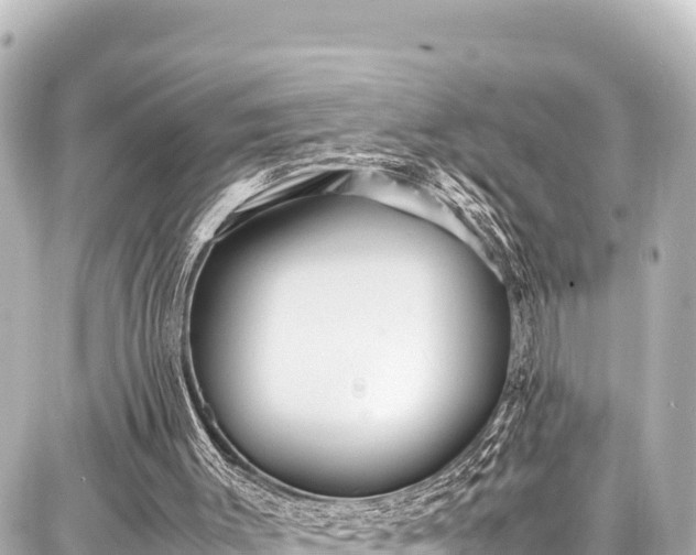 X0000087750003200705141301