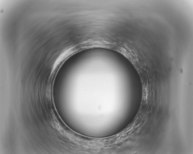 X0000087750004200705141301