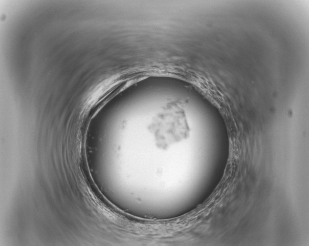 X0000087750005200705141301