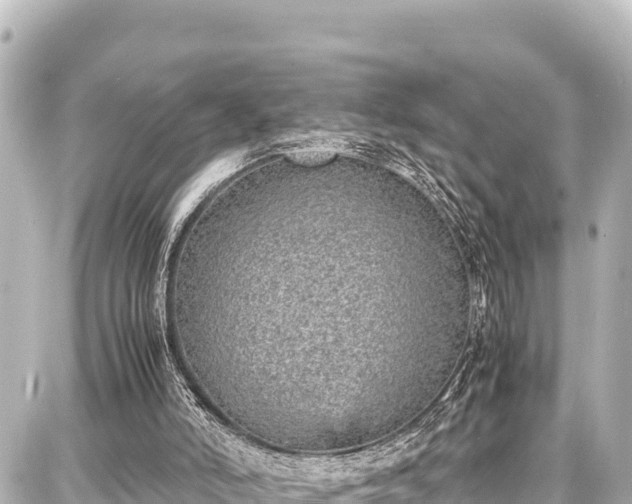 X0000087750006200705141301