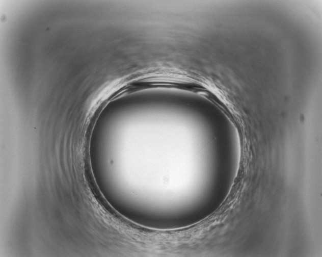 X0000087750007200705141301