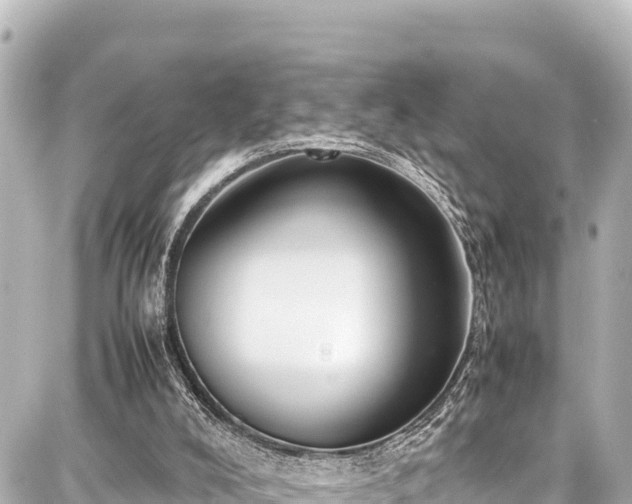 X0000087750008200705141301