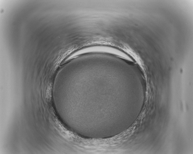 X0000087750009200705141301