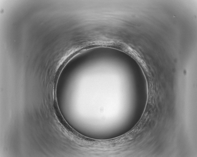 X0000087750011200705141301