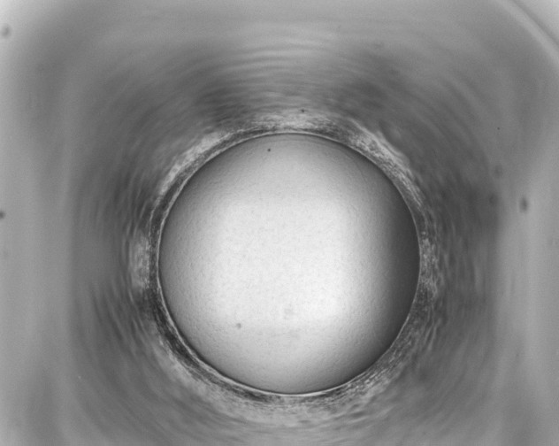 X0000087750012200705141301