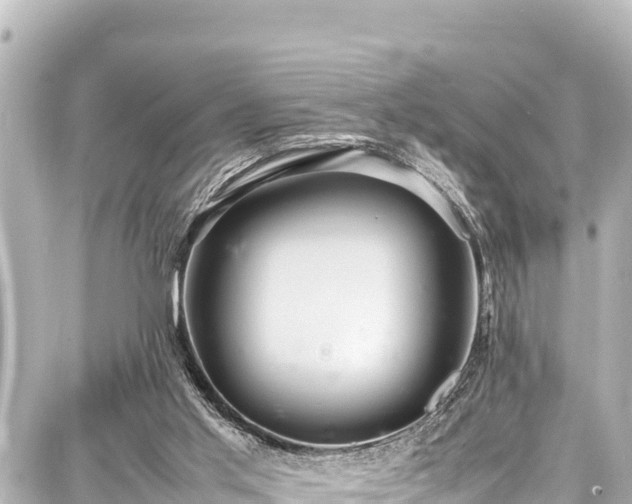 X0000087750013200705141301