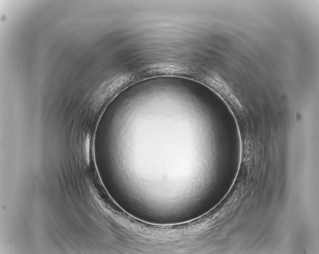 X0000087750014200705141301