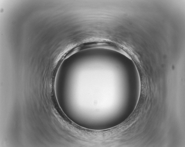 X0000087750015200705141301