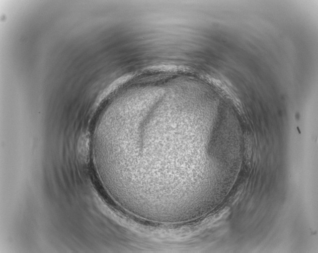 X0000087750016200705141301