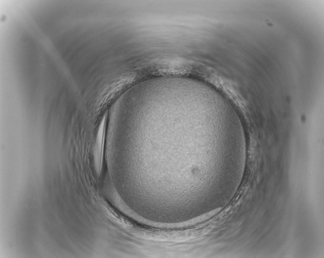 X0000087750017200705141301