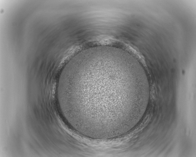 X0000087750018200705141301