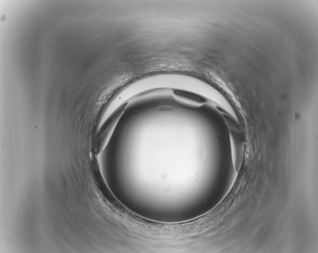 X0000087750019200705141301