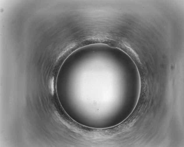 X0000087750020200705141301