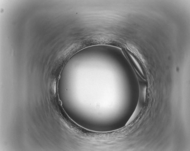 X0000087750021200705141301