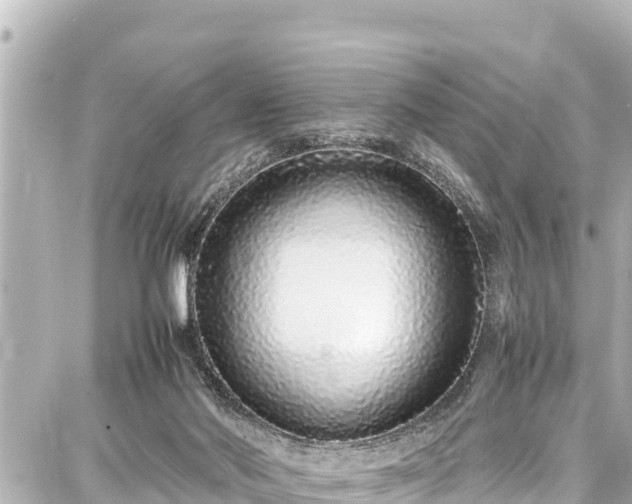 X0000087750022200705141301