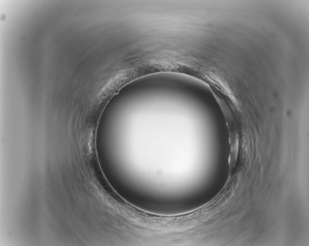 X0000087750023200705141301