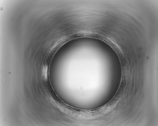 X0000087750024200705141301