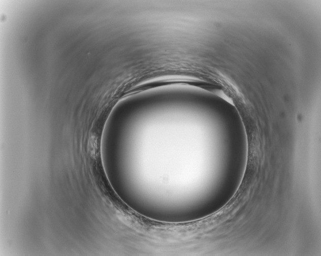 X0000087750025200705141301