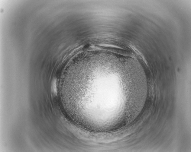 X0000087750026200705141301