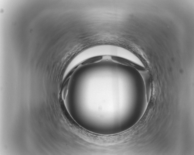 X0000087750027200705141301